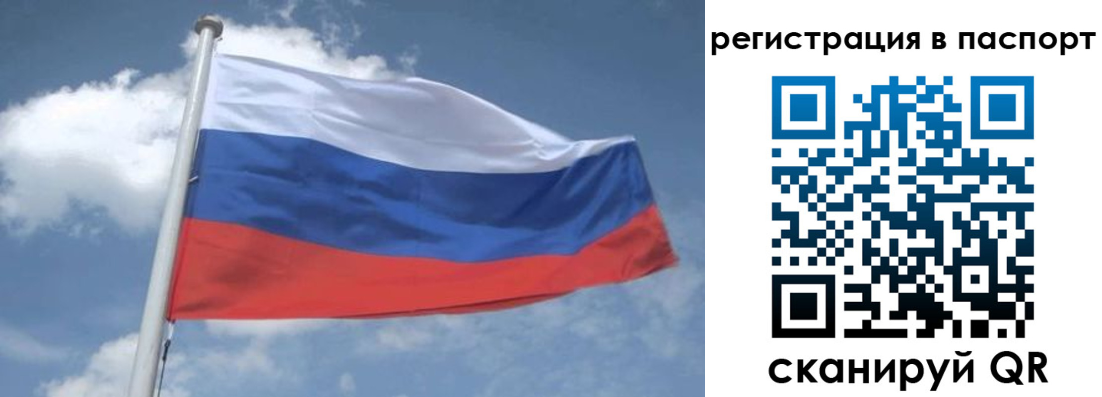 временная регистрация надежно в Никольском